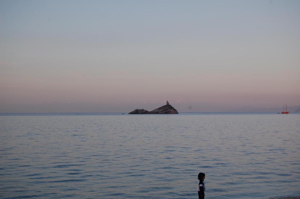Hotel Acquamarina Portoferraio Bilik gambar