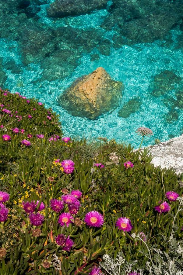 Hotel Acquamarina Portoferraio Luaran gambar